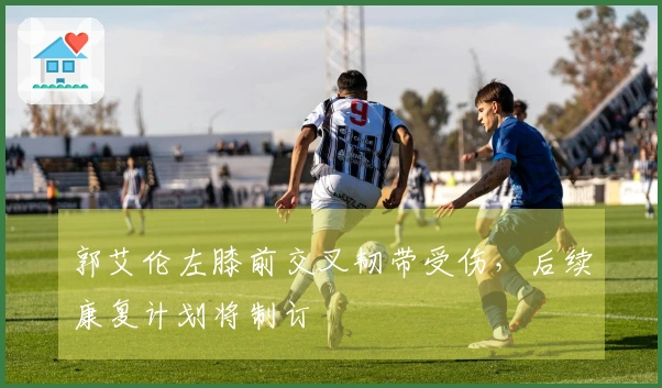 郭艾伦左膝前交叉韧带受伤，后续康复计划将制订